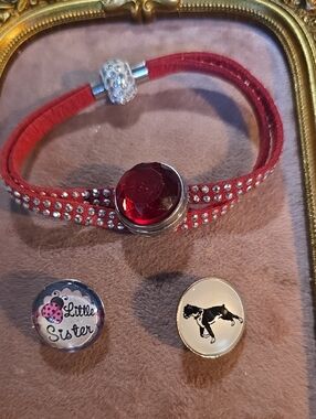Ginger Snaps Bracelet With Magnetic Closure And 3 Interchangabke Snaps